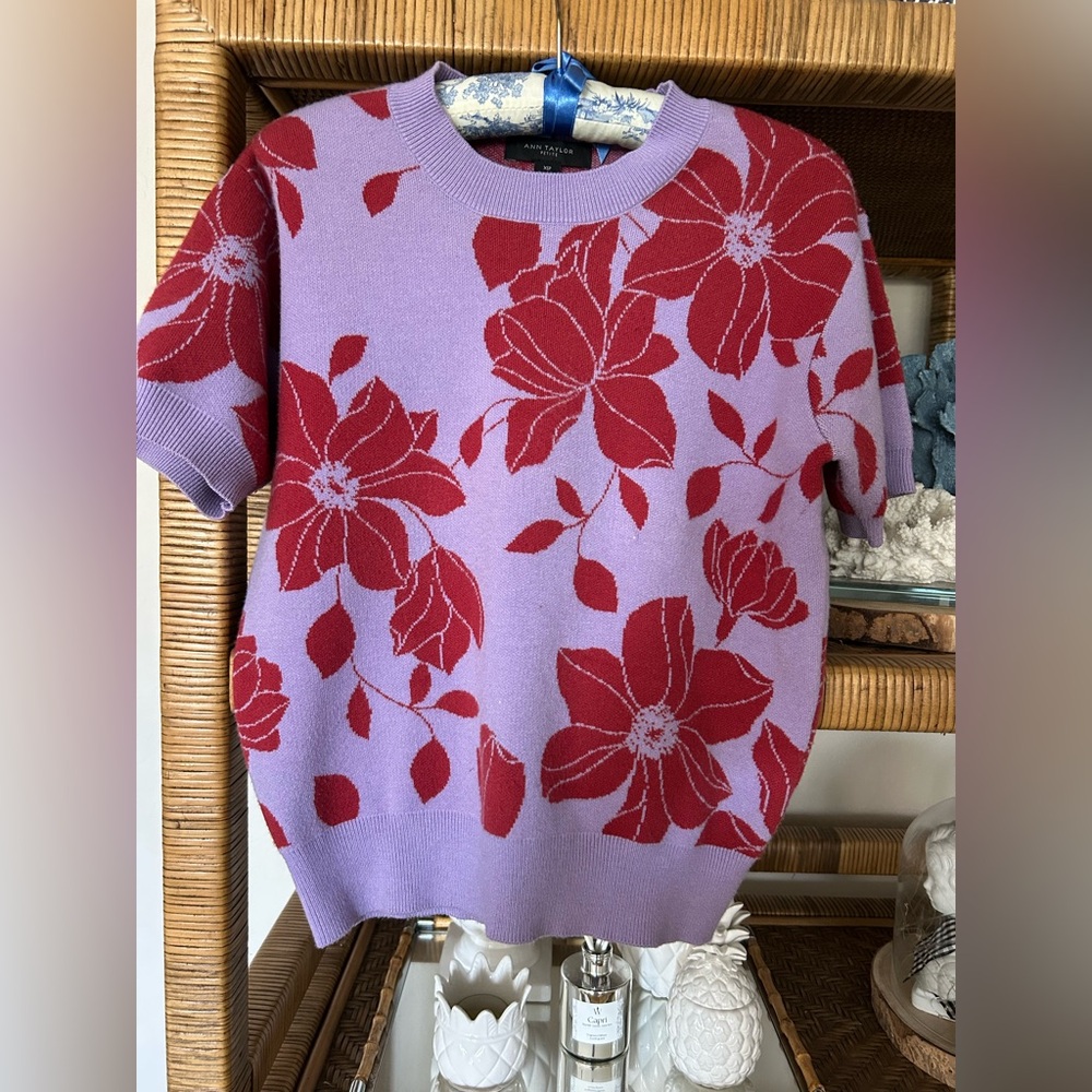 Ann Taylor Sweater